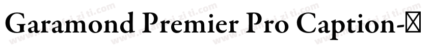 Garamond Premier Pro Caption字体转换